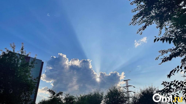 Дожди и грозы на подходе: омичей ждёт переменчивая погода 21 мая