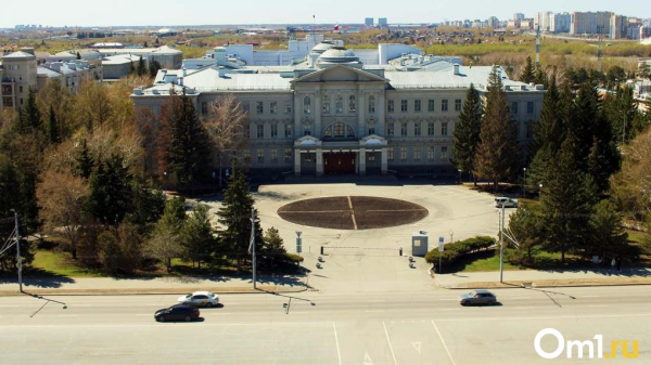 В Омской области создан Совет по реализации демографической и семейной политики