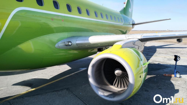 В Омске самолёт «Аэрофлота» прервал взлёт из-за неисправности тормозной системы