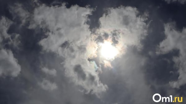 Ещё одна напасть ожидается в Омской области во второй половине мая