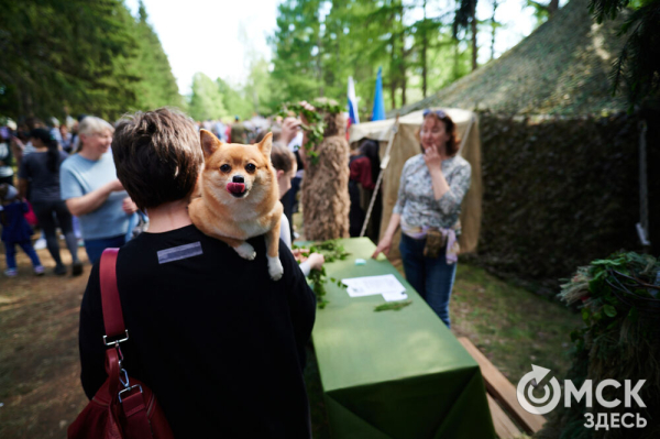 Курс молодого бойца и послания памяти. Как омичи отмечают 9 Мая в парке Победы Курс молодого бойца и послания памяти. Как омичи отмечают 9 Мая в парке Победы