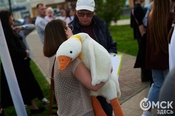 Первый пешеходный Любинский: как началась череда перекрытий в центре Омска