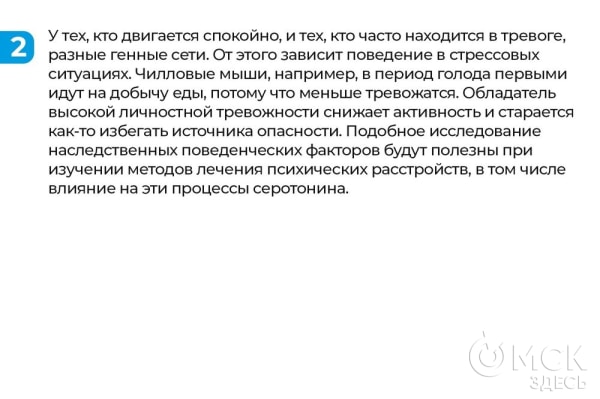 Сон, аппетит и тревожность. На что влияет в организме серотонин