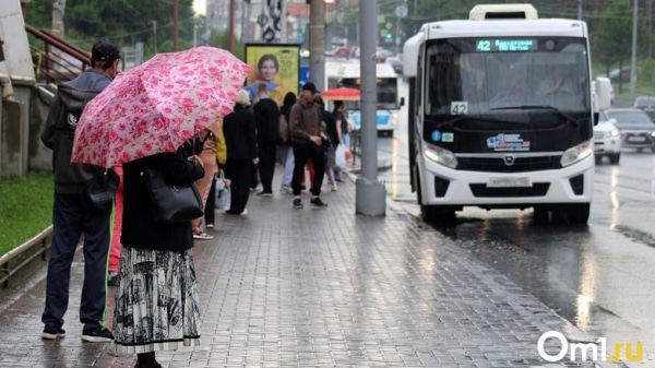 Осадки вернутся: синоптики прогнозируют дождливое начало лета в Омской области