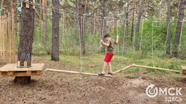 Внимание, дети в летнем отрыве! Как сохранить их здоровье и радость открытий