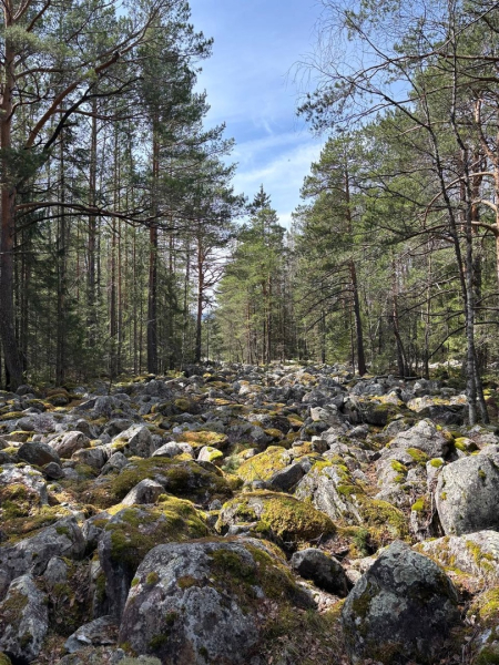 Снег, палатки и командный дух: зачем омские студенты уходят в горы