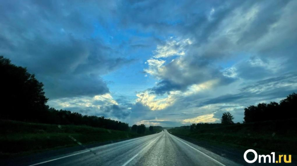 В Омской области за два дня под колесами машин погибли два лося