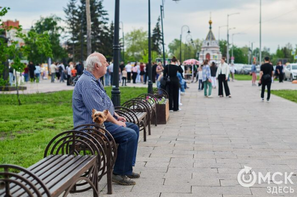 Первый пешеходный Любинский: как началась череда перекрытий в центре Омска