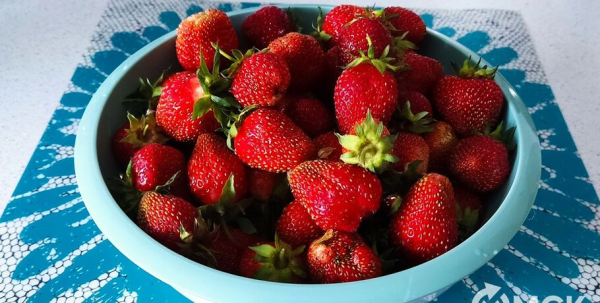 Блестящая и насыщенная: выбираем вкусную клубнику