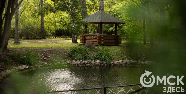 Торжество среди зелени. В омском дендросаду теперь можно жениться