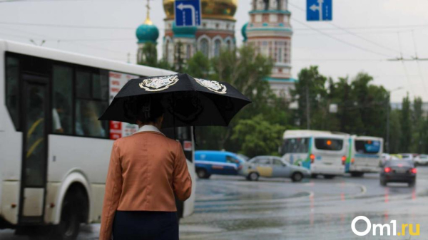 Омские метеорологи: во вторник ожидаются дождь и грозы