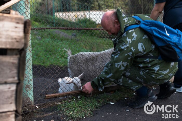 Большереченский зоопарк продлил ряд запретов для посетителей