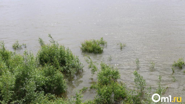 Омский губернатор обсудил готовность к паводку в Усть-Ишимском районе Омский губернатор обсудил готовность к паводку в Усть-Ишимском районе