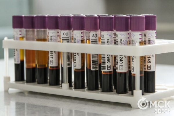 Сдавать кровь станет проще: в Омске расширяется сеть донорских пунктов