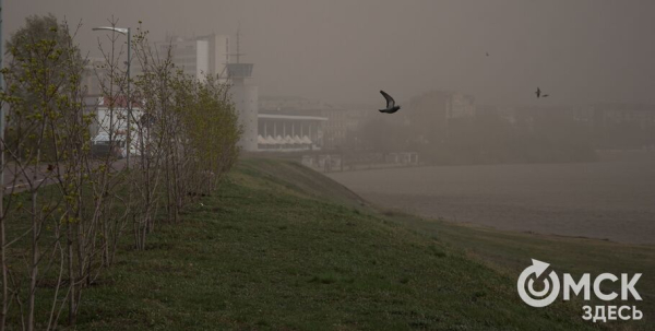 Омск оказался на пути пыльных бурь Омск оказался на пути пыльных бурь