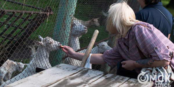 Большереченский зоопарк продлил ряд запретов для посетителей