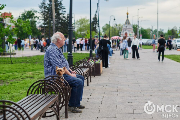 Первый пешеходный Любинский: как началась череда перекрытий в центре Омска
