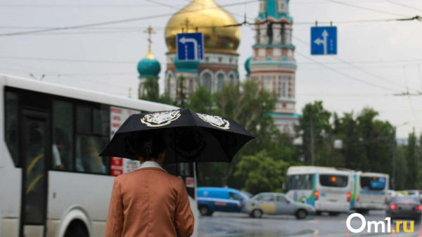Шторм с градом и ветром до 25 метров в секунду обрушится на Омск ночью