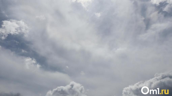 Шелест назвал фейком ролик, где на Левобережье работает ПВО