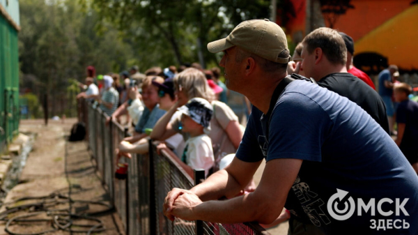 От псевдозебры до мадагаскарского таракана. Как трапезничают малыши и гиганты хищного мира