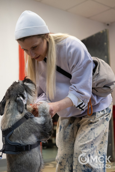 Нити судьбы: "вышивка" эмоций от Лизы Корн