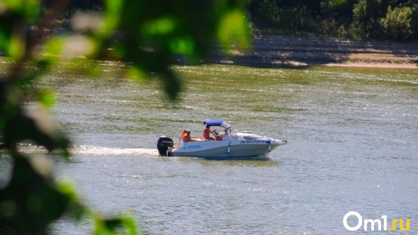 До +30 градусов: антициклон принесёт в Омскую область жаркую погоду