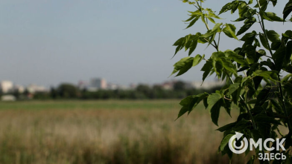 В "Птичьей гавани" устроили экологическую инвентаризацию