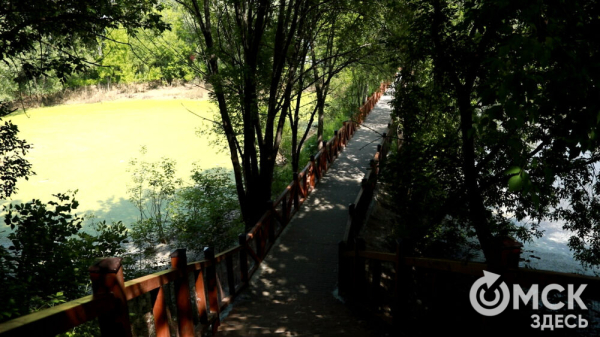 От псевдозебры до мадагаскарского таракана. Как трапезничают малыши и гиганты хищного мира