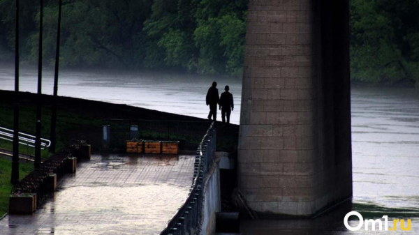 В Омскую область идут ураганный ветер и опасные грозы