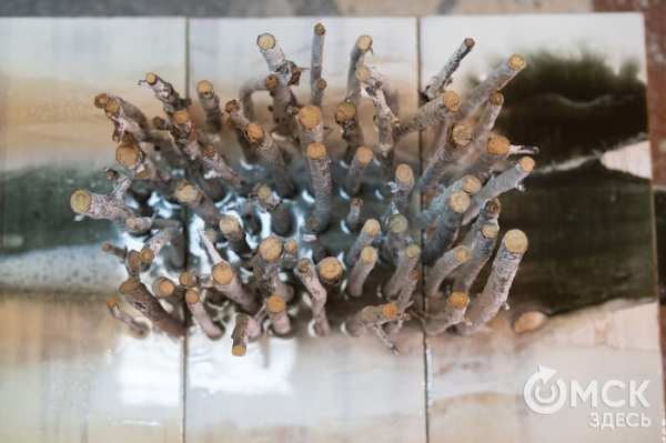 Нити судьбы: "вышивка" эмоций от Лизы Корн