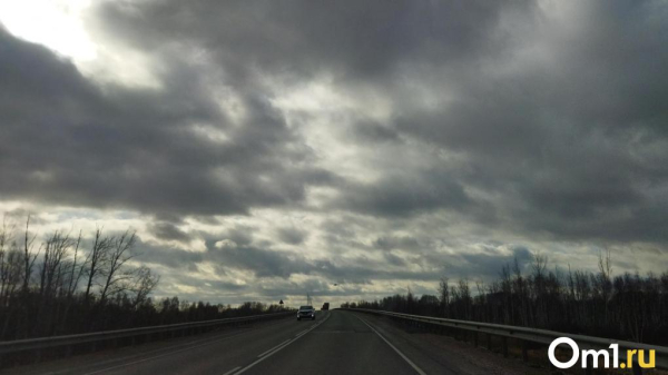 Опасная погода. Омичей ждут грозы, град и сильный ветер