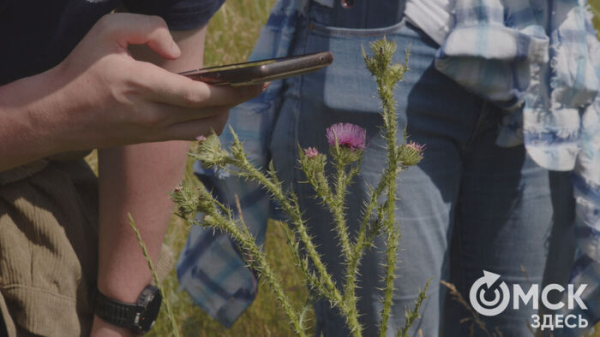 В "Птичьей гавани" устроили экологическую инвентаризацию