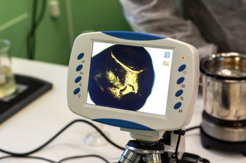 Полина Харламова: «Бизнес с интеллектом: зачем компаниям наука»