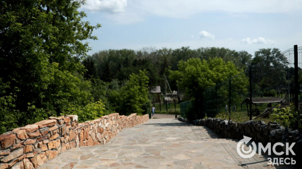 От псевдозебры до мадагаскарского таракана. Как трапезничают малыши и гиганты хищного мира