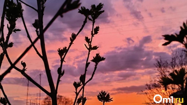Уже завтра: на Омскую область надвигается новая напасть