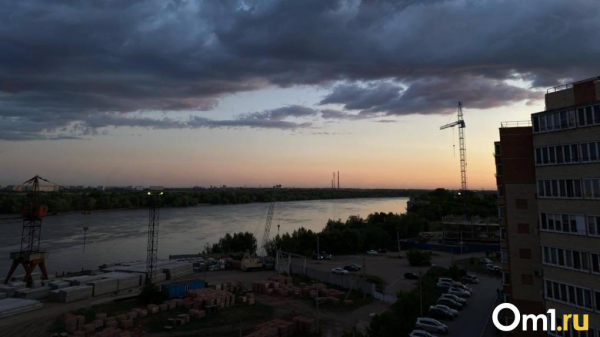 В Омской области объявлено штормовое предупреждение из-за сильного ветра и гроз. Куда звонить при ЧС? В Омской области объявлено штормовое предупреждение из-за сильного ветра и гроз. Куда звонить при ЧС?