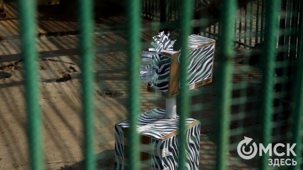 От псевдозебры до мадагаскарского таракана. Как трапезничают малыши и гиганты хищного мира