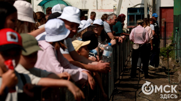 От псевдозебры до мадагаскарского таракана. Как трапезничают малыши и гиганты хищного мира