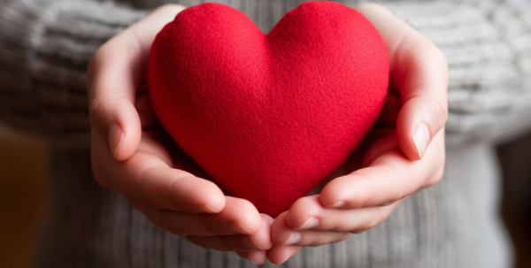 Благотворительный пикник, или Что движет омскими волонтёрами