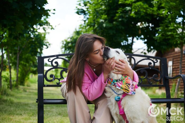 Про собак и про людей. В Омске открылся первый сибирский дог-френдли лагерь Про собак и про людей. В Омске открылся первый сибирский дог-френдли лагерь
