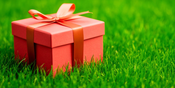 Бегемоту из Большеречья подарят фазенду с личным пляжем