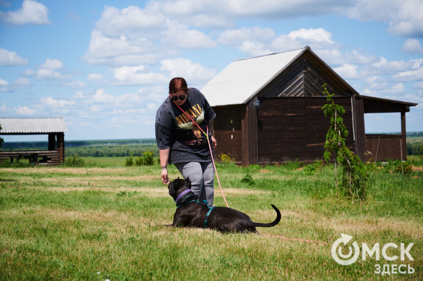 Про собак и про людей. В Омске открылся первый сибирский дог-френдли лагерь Про собак и про людей. В Омске открылся первый сибирский дог-френдли лагерь