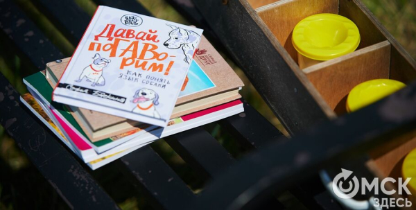 Про собак и про людей. В Омске открылся первый сибирский дог-френдли лагерь Про собак и про людей. В Омске открылся первый сибирский дог-френдли лагерь