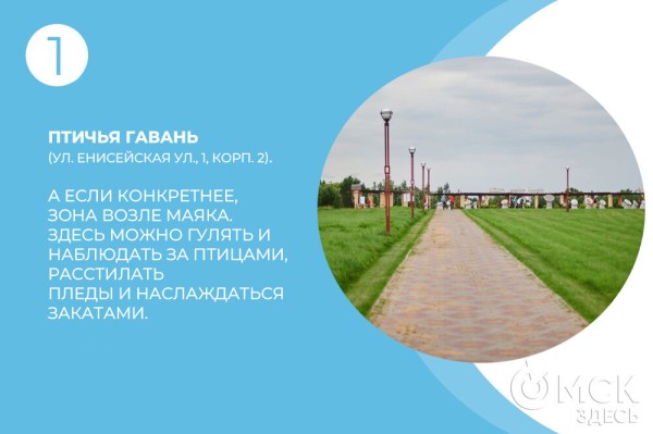 Идеальный пикник: идеи, лайфхаки и уникальные места в Омске