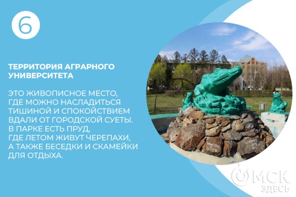 Идеальный пикник: идеи, лайфхаки и уникальные места в Омске