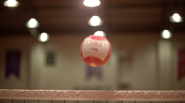 Футбольный дебют и бойцовский реванш. Топ спортивных событий недели по версии "Омск Здесь"