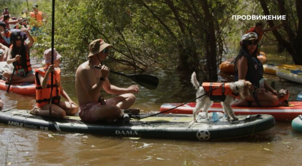 Подтаявшее мороженое и русалки отправились в массовый заплыв по Оми