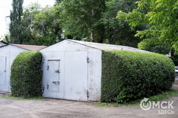 Стриги там, где всё заросло, или Почему омский гараж вызвал волну восхищения