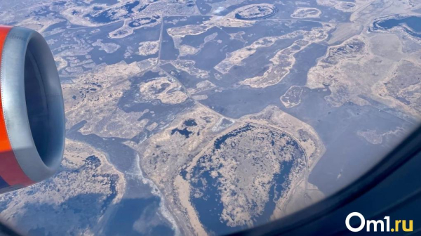 Экипаж самолёта сообщил о возможном столкновении с птицами при посадке в Омске