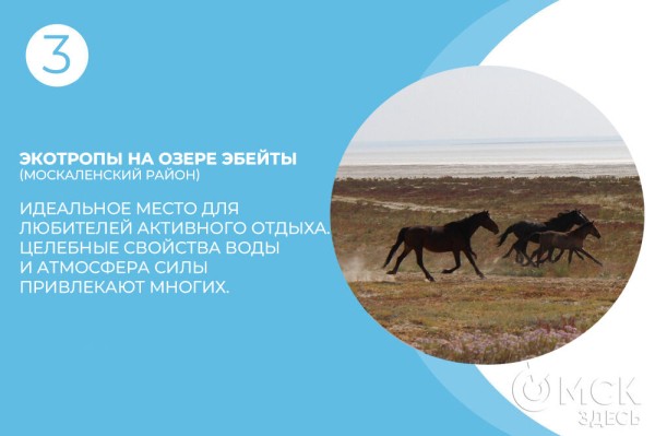 Идеальный пикник: идеи, лайфхаки и уникальные места в Омске